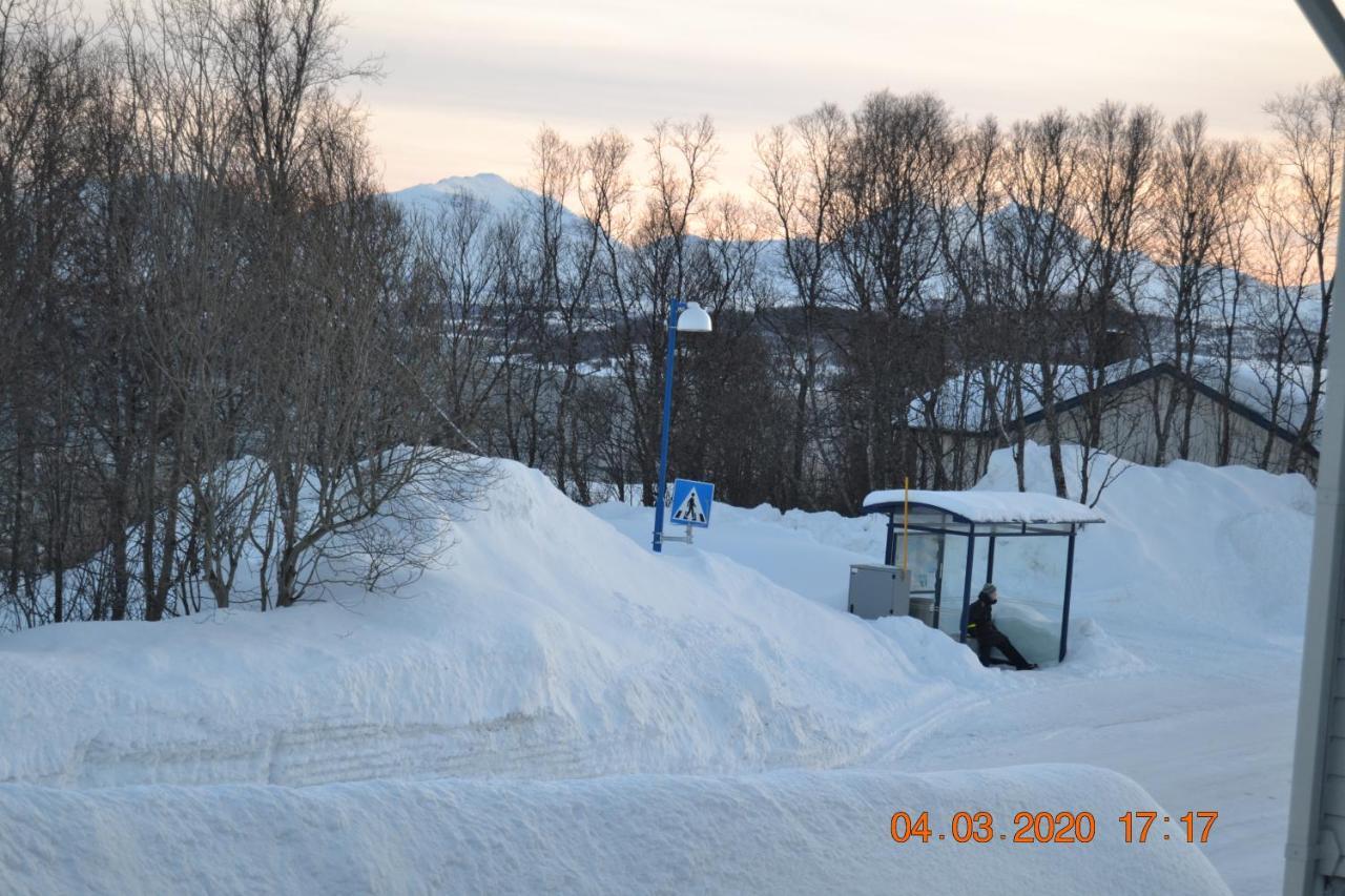 トロムソA Nice And Quiet Place Near To Trosmo Cityアパートメント エクステリア 写真